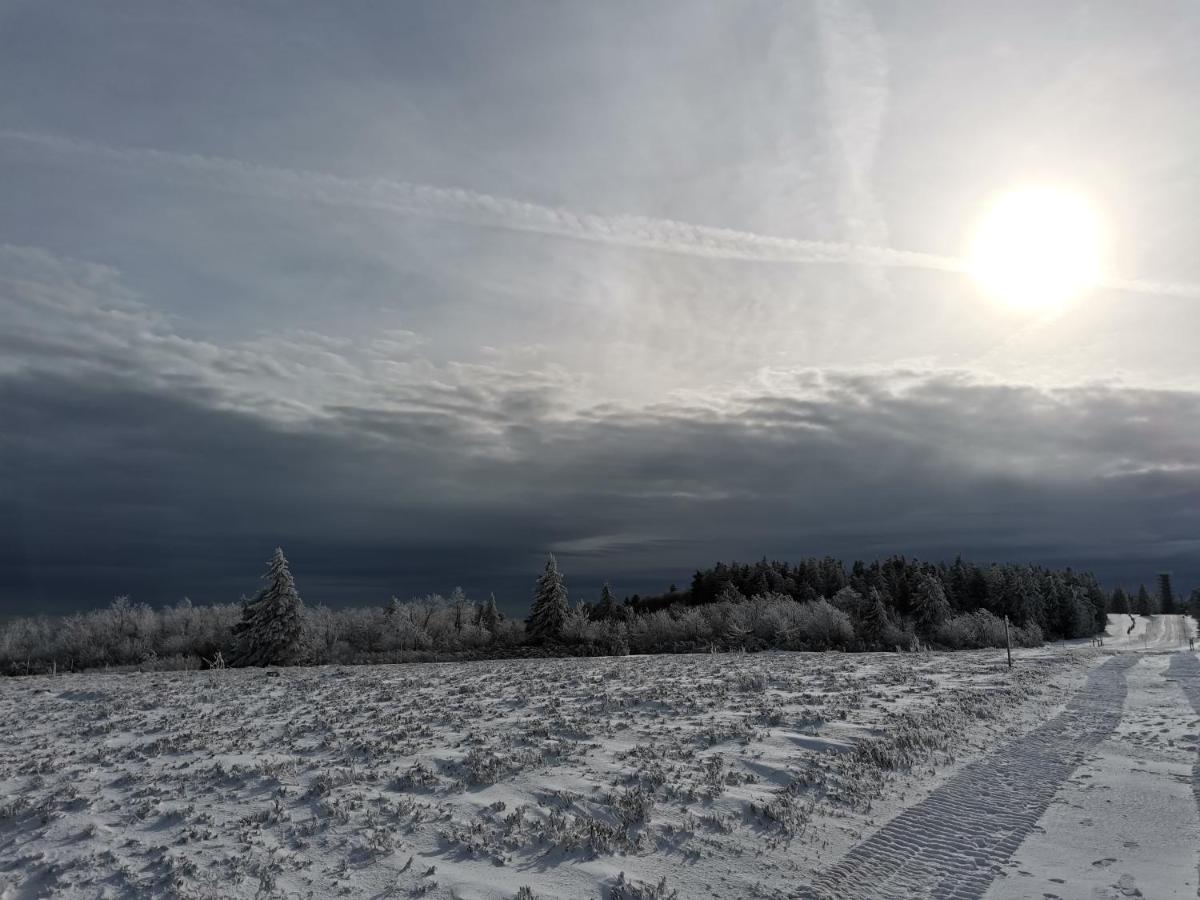 Gite Du Cerf Birkenwald Экстерьер фото